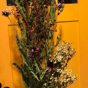 #2~XL Dried Flowering Herbs Wildflowers Decor Bundle*Dock Feverfew Echinacea